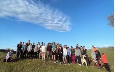 Rising Run Clubs in the Sierra Foothills Area
